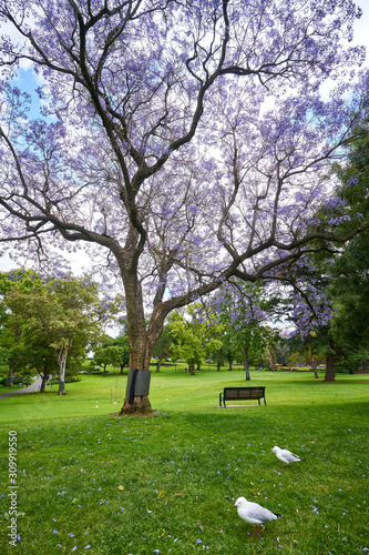 Royal Botanic Gardens Victoria