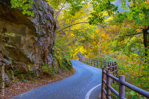 Japan. Kofu. Road for touri...