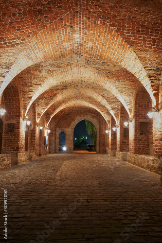 The Gifhorn castle in Germany at night