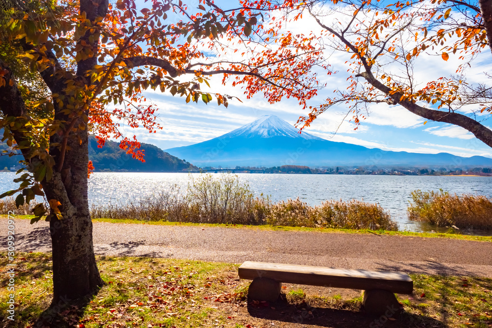 Japan. The Prefecture Of Yamanashi. Kawaguchiko. Lake Kawaguchiko and mount Fuji on a Sunny autumn day. Lake Kawaguchiko on a background of benches and autumn trees. Fujisan. Autumn in Japan.