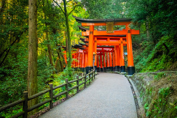 Papier peint photo Kyoto Portes torii orange de Fushimi Inari  © Grispb