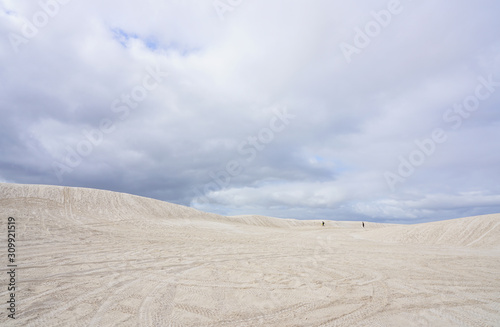 Fototapeta Naklejka Na Ścianę i Meble -  Day view of the Lancelin sand dunes in Western Australia