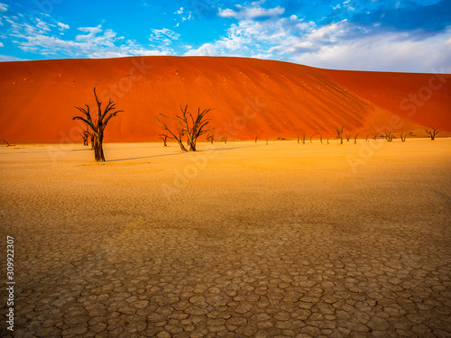 Dead Camelthorn Trees against red dunes and blue sky in Deadvlei, Sossusvlei. Namib-Naukluft National Park, Namibia, Africa