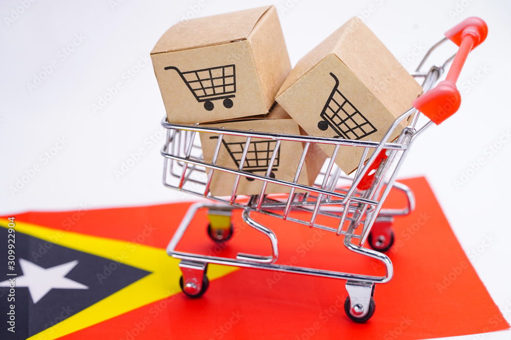 Box with shopping cart logo and East Timor flag : Import Export Shopping online or eCommerce finance delivery service store product shipping, trade, supplier concept..