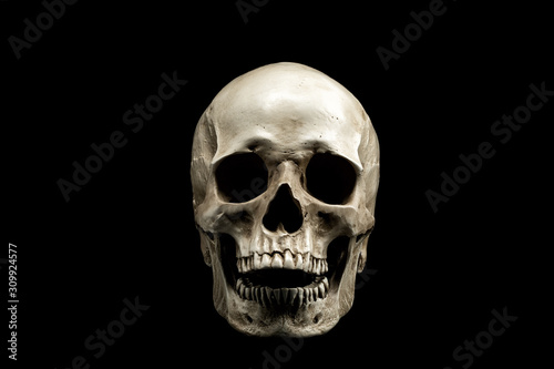 Front view of a human skull with open mouth isolated on black background.