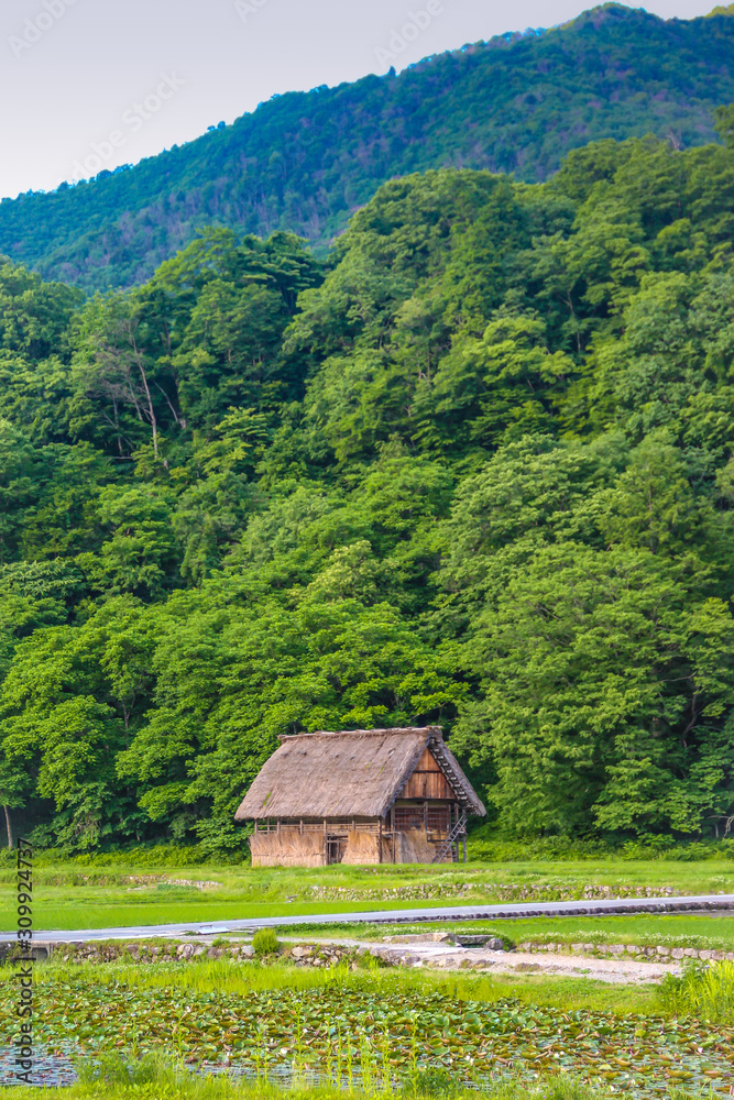 Gassho-zukuri houses in Gokayama Village. Gokayama has been inscribed on the UNESCO World Heritage List due to its traditional Gassho-zukuri houses, alongside nearby Shirakawa-go in Gifu Prefecture.