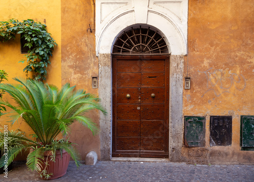 Ornate door in Rome City in Italy with potted plants and ochre walls