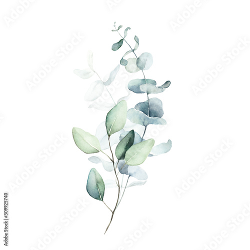 Fotótapéta Watercolor floral illustration bouquet - green leaf branch collection, for wedding stationary, greetings, wallpapers, fashion, background