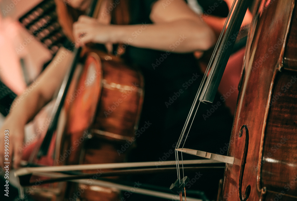Fototapeta Orkiestra symfoniczna na scenie, ręce grające na wiolonczeli