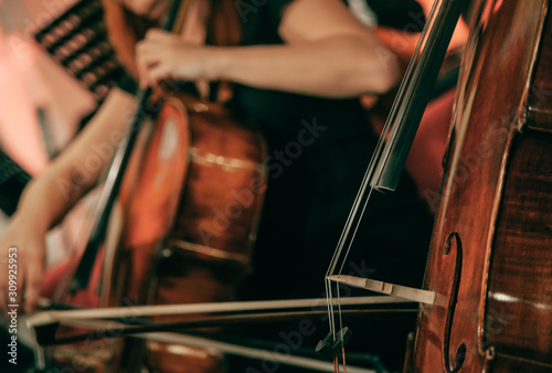 Billede på lærred Symphony orchestra on stage, hands playing cello