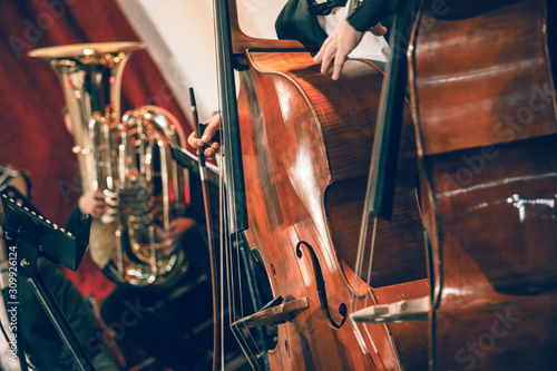 Symphony orchestra on stage, hands playing acoustic double bass
