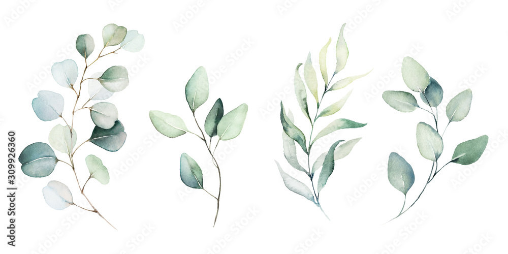 Obraz Akwarela ilustracja kwiatowy zestaw - kolekcja zielonych liści gałęzi, na ślub stacjonarne, pozdrowienia, tapety, moda, tło. Eukaliptus, oliwka, zielone liście itp.