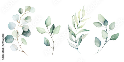 Watercolor floral illustration set - green leaf branches collection, for wedd...