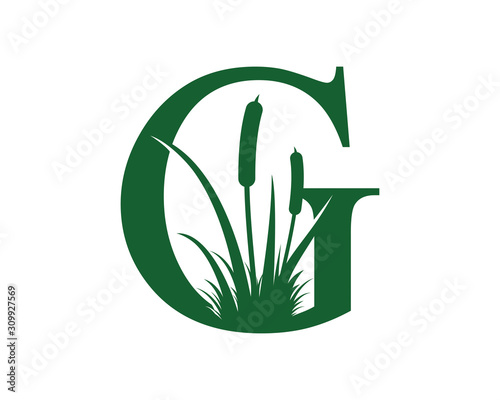 Letter G with Reeds Grass Logo Vector 001