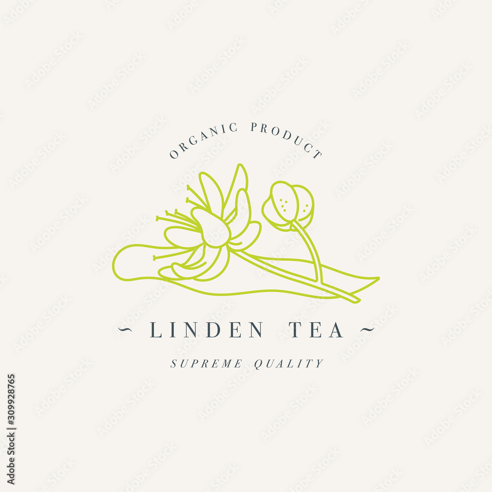 Vector design colorful templat logo or emblem - organic herb linden tea. Logos in trendy linear style isolated on white background.