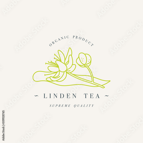 Vector design colorful templat logo or emblem - organic herb linden tea. Logos in trendy linear style isolated on white background.