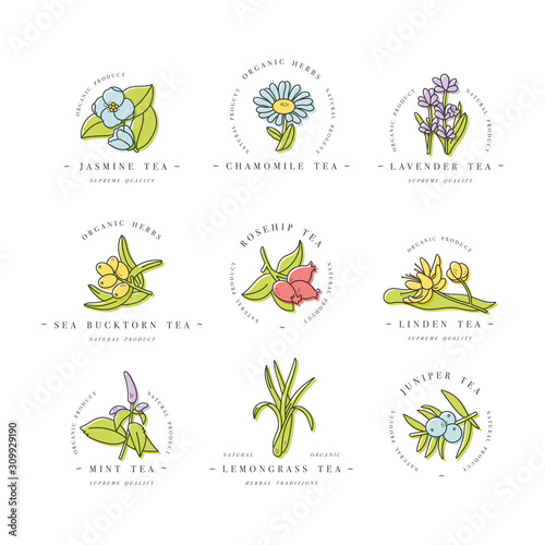 Vector set design colorful templates logo and emblems - organic herbs and teas. Different teas icon. Logos in trendy linear style isolated on white background.