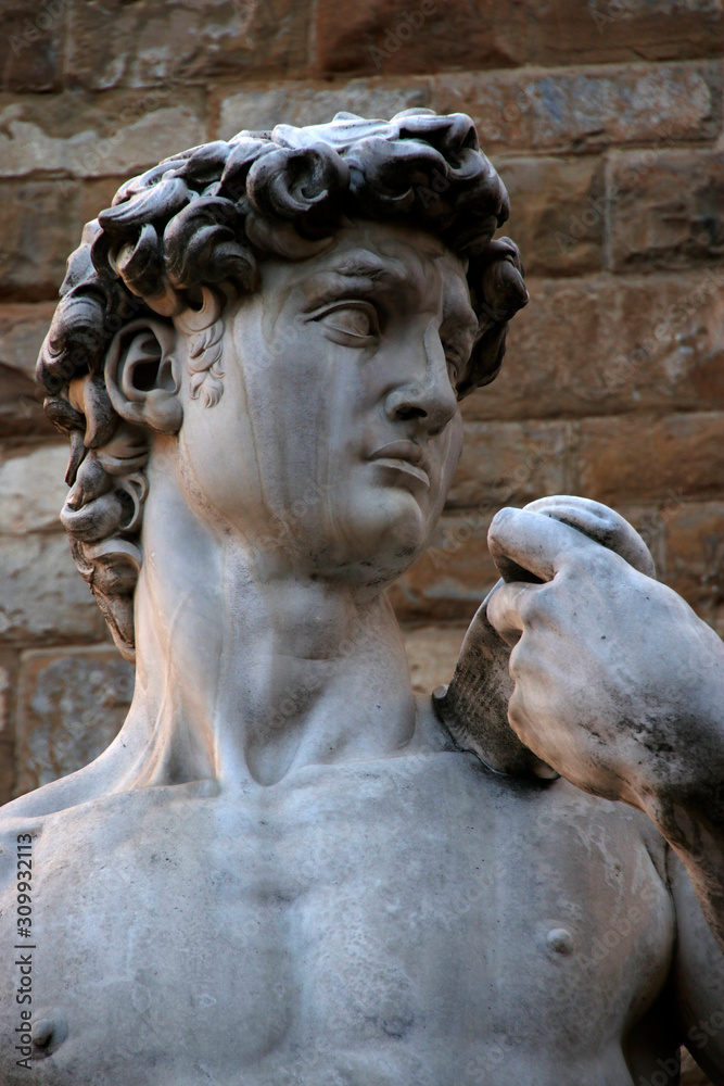Close up of the Michelangelo's David