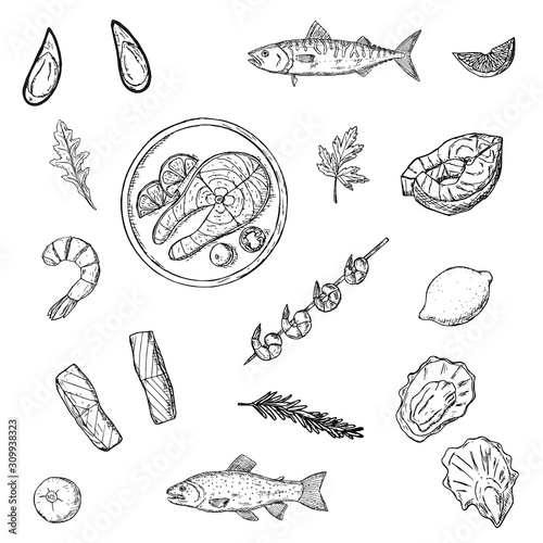 Set of seafood. Vector cartoon illustrations. Isolated objects on a white background. Hand-drawn style.