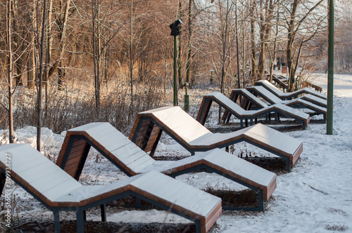 bench in the park in winter