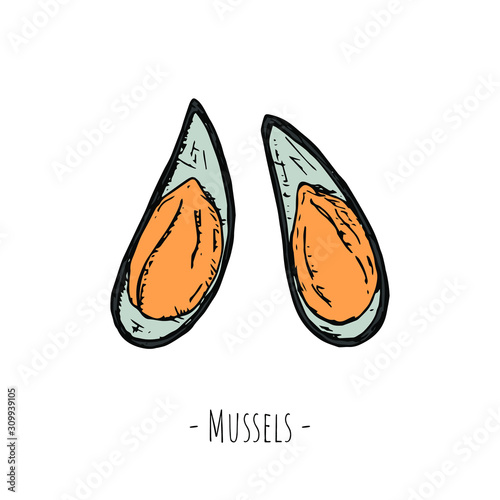 Hand-drawn isolated mussels. Vector cartoon illustrations. 