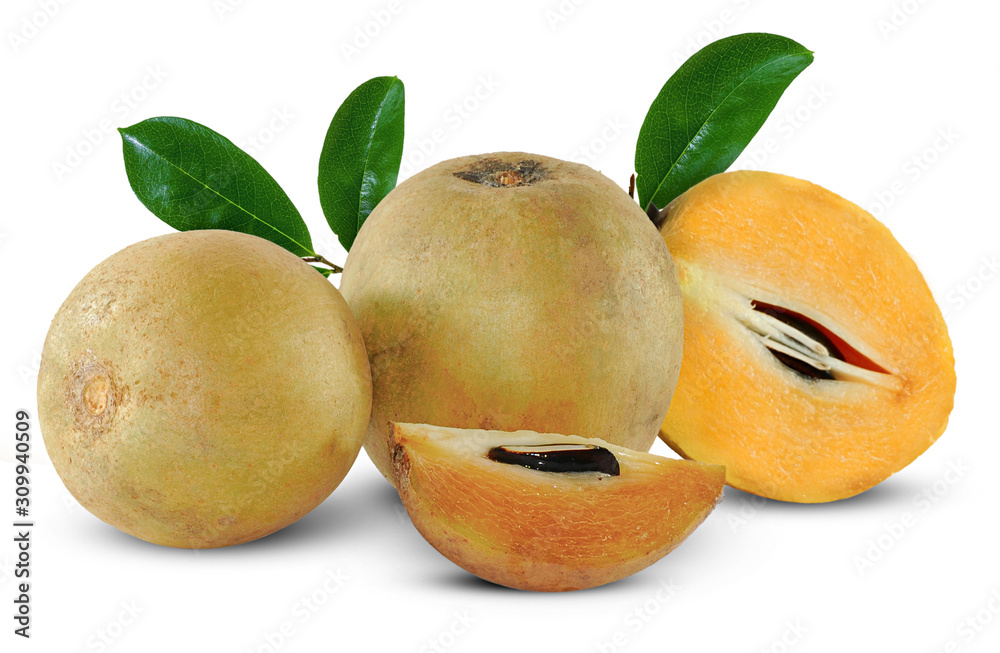 sapodilla fruit isolated on white background Stock Photo | Adobe Stock