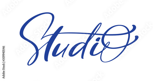 Studio blue calligraphy hand drawn vector logo text and label for any use, on a white background. Just place your own brand name