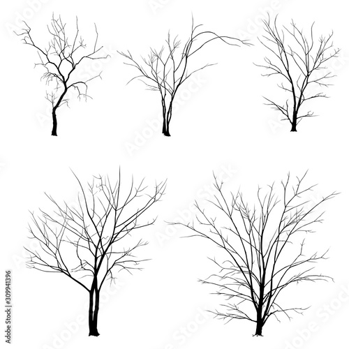 Set of black tree silhouettes isolated on white background.