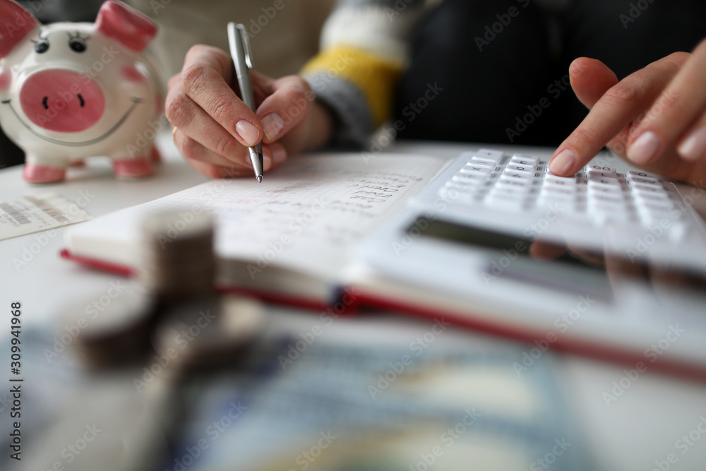 Domestic economy and wealth Domestic economy and wealth
