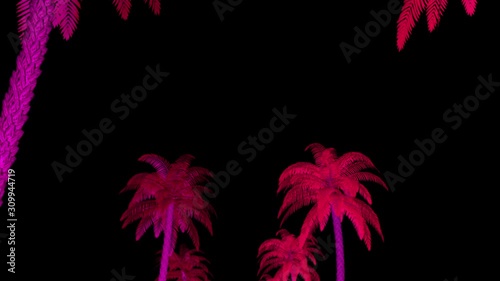 Neon Palm Trees Bottom Up Rows VJ Visual photo