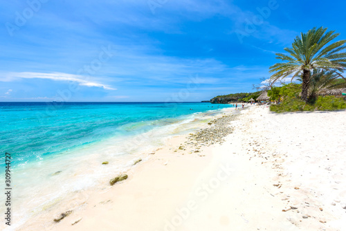 Cas Abao beach - paradise white sand Beach with blue sky and crystal clear blue water in Curacao  Netherlands Antilles  a Caribbean tropical Island