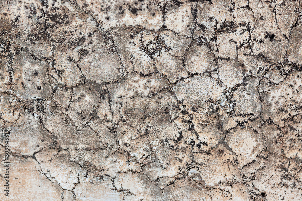 Ground, Wall surface texture for decoration background Ground, Wall surface texture for decoration background