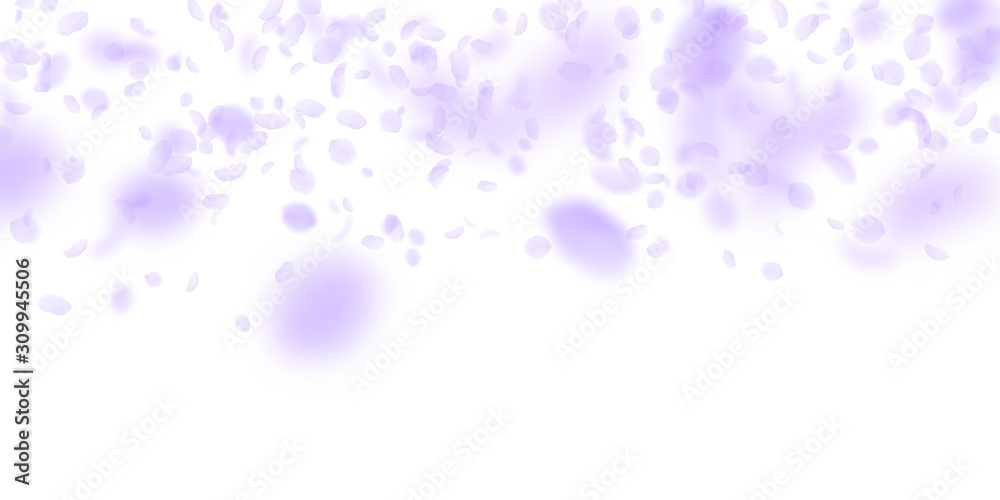 Violet flower petals falling down. Exotic romantic