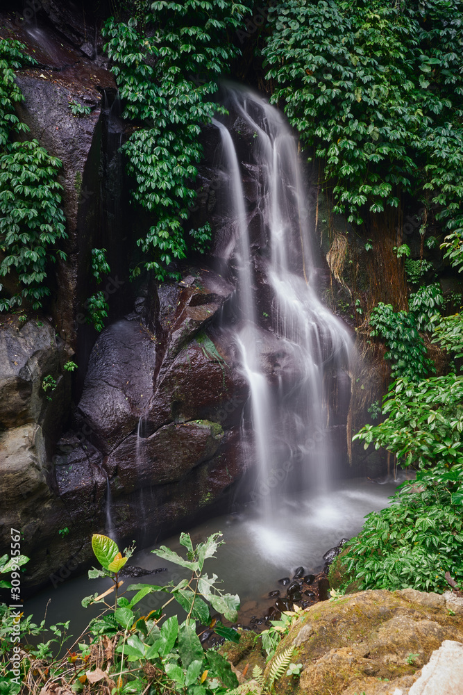  Wild forest riverside waterfall streaming from the rock at Bali 