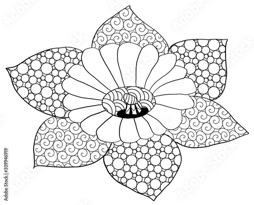 Zentangl pattern on flower - anti stress coloring for adult