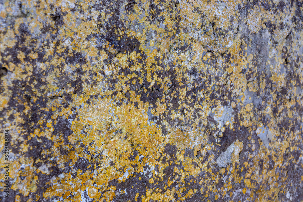 Ground, Wall surface texture for decoration background Ground, Wall surface texture for decoration background