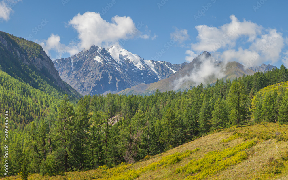 Mountain valley, green forests. Sunny summer day, blue sky with clouds. Travel and vacation in the mountains.