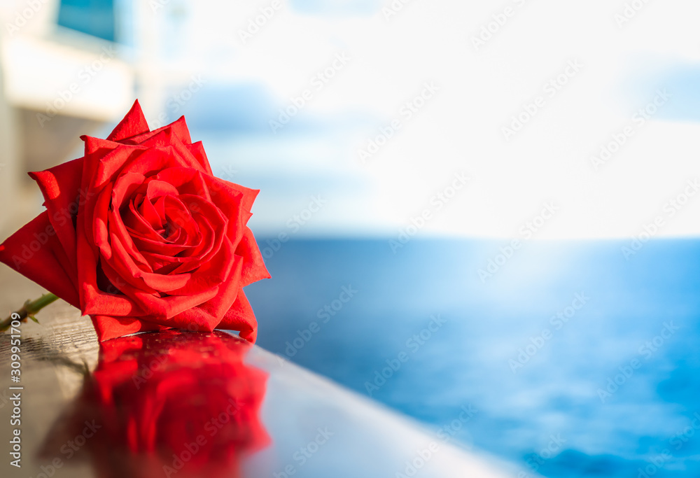 Red rose on a balcony of a cruise ship at sunset. Stock Photo | Adobe Stock