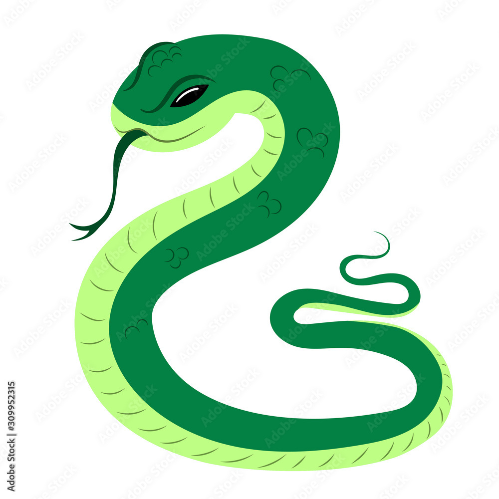 Fototapeta premium Cartoon snake. Viper. Vector illustration on a white background. Drawing for children.