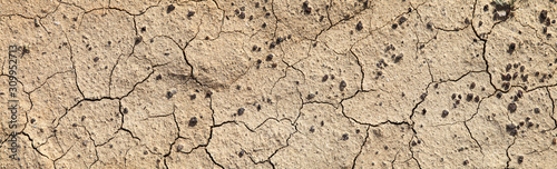 Cracked dry soil. Desert, arid climate. Natural backgrounds, panoramic 