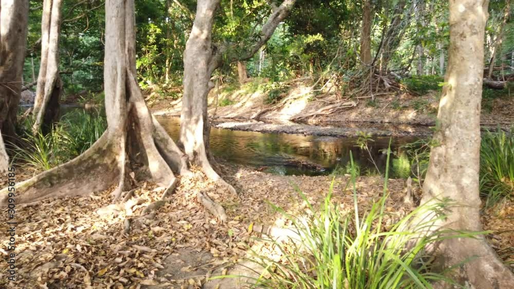 pan left from pretty stream to walking trail pan left from pretty stream to walking trail