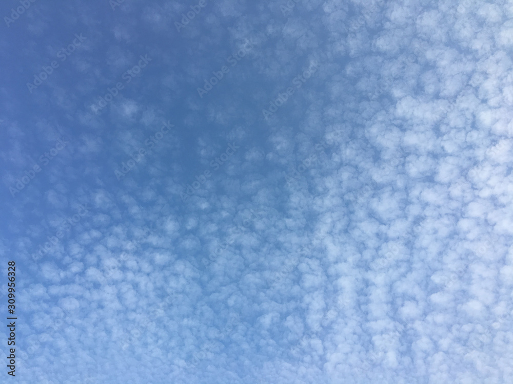 Obraz premium Cumulus clouds in blue sky. Beautiful white cloud and blue sky background texture and wallpaper.