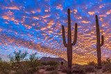 Classic Arizona Sunset Landscape With Cactus in Foreground