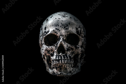 Human skull in black soil isolated on black background with clipping path