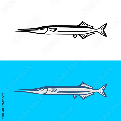 Garfish illustration isolated on white background. Gar fish logo template.