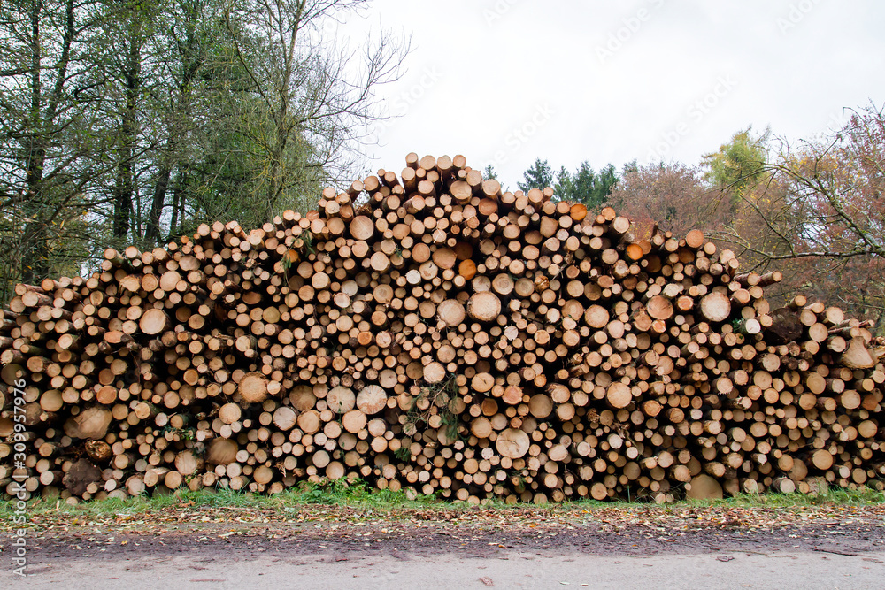 Heap of chopped down logs