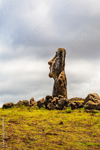 Moai statues in the Rano Raraku Volcano in Easter Island, Rapa Nui National Park, Chile photo