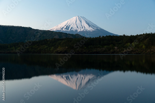 富士山と西湖 / Mt.Fuji and Saiko