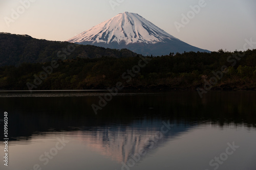 富士山と西湖 / Mt.Fuji and Saiko