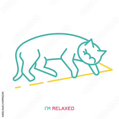Cat Behavior Icon